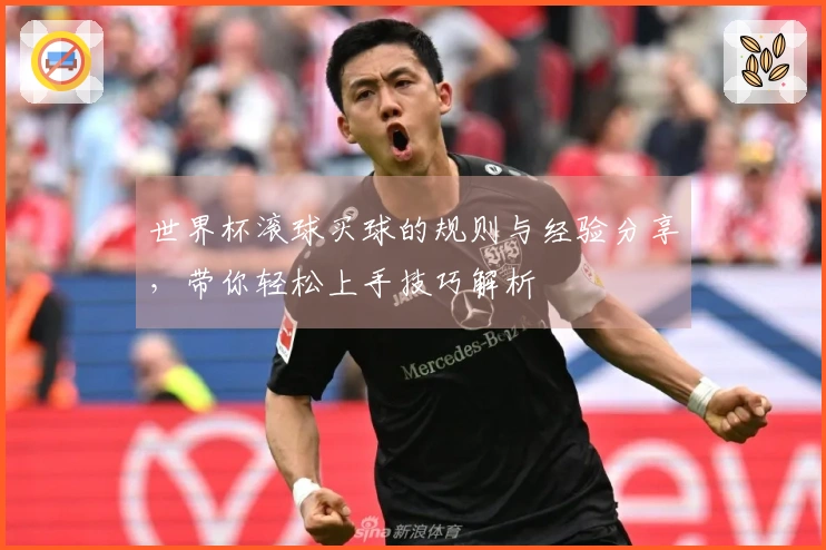 世界杯滚球买球的规则与经验分享，带你轻松上手技巧解析