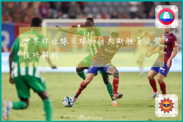 世界杯让球买球如何判断胜负走势技巧解析
