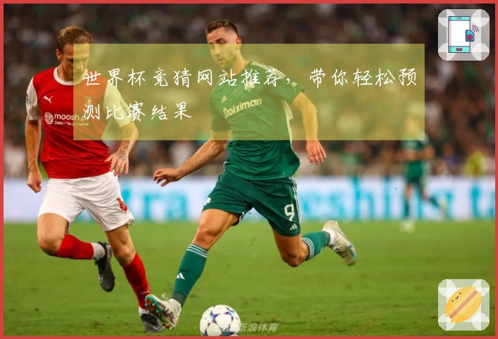 世界杯竞猜网站推荐，带你轻松预测比赛结果
