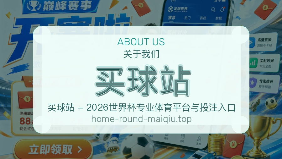 关于 买球站 团队与服务